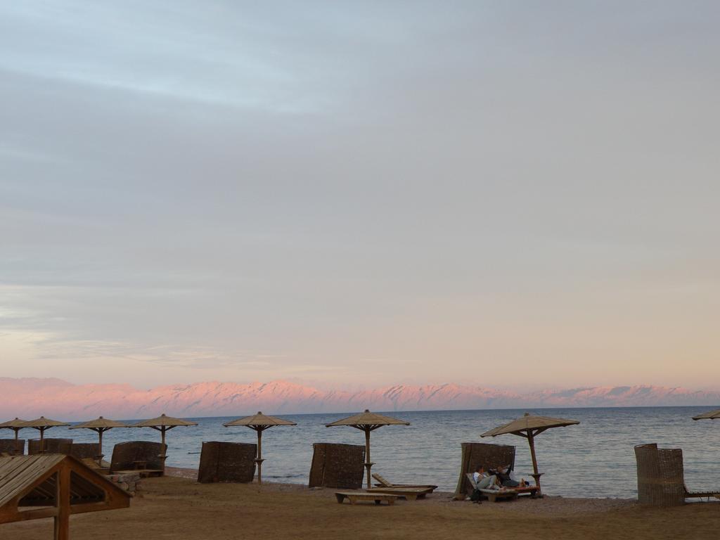 Daniela Diving Resort Dahab Esterno foto